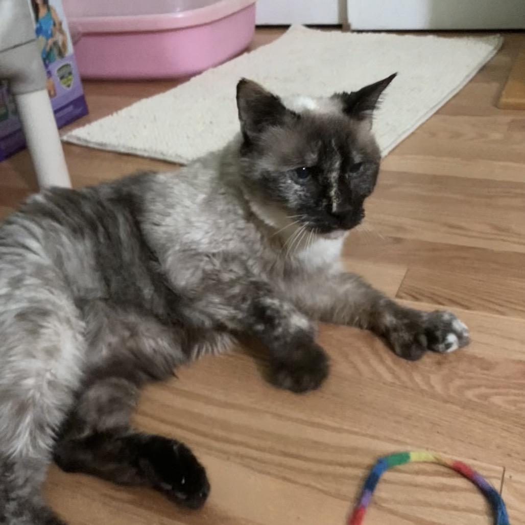 Emily — thumbnail 2