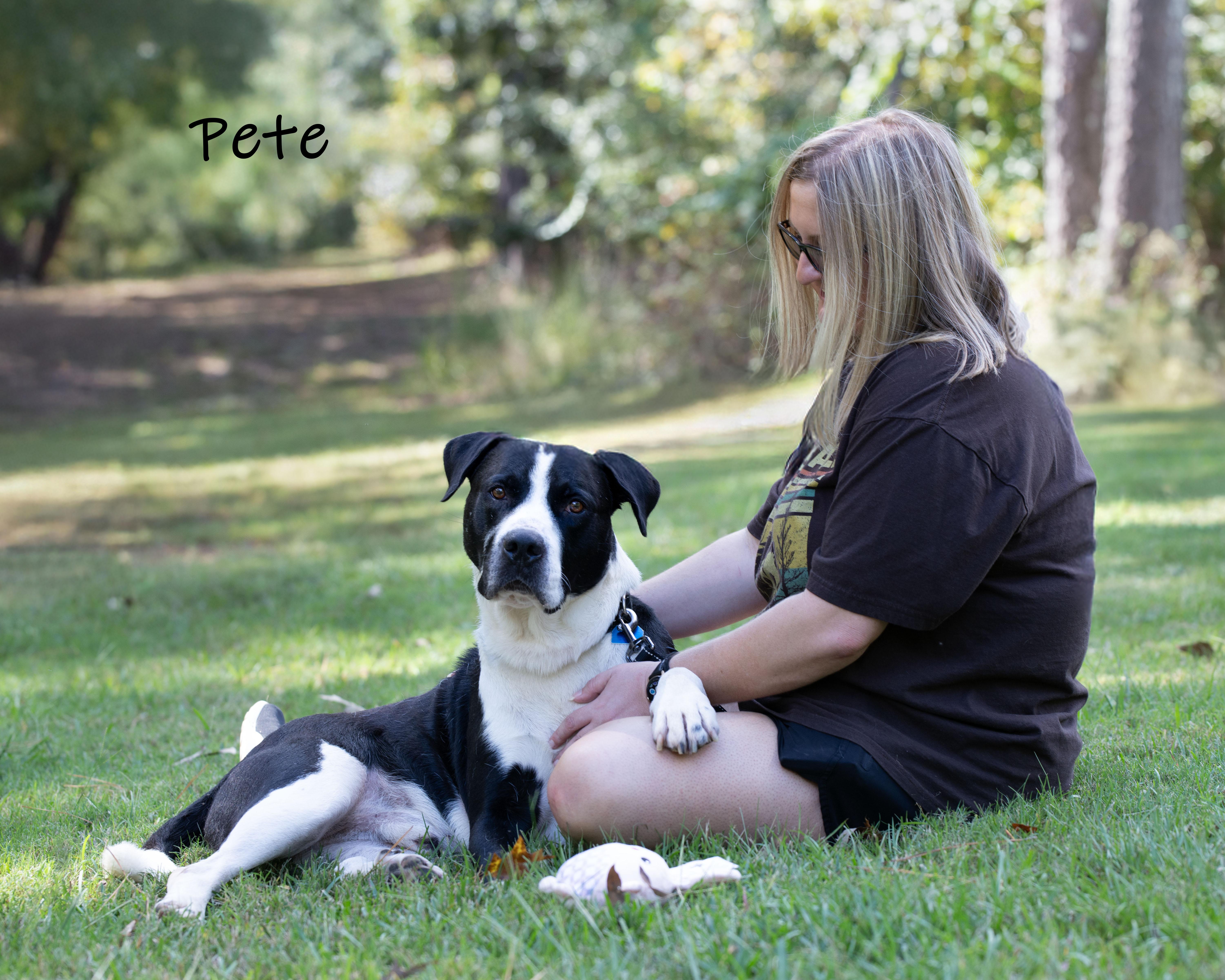 Enlarge Pete, an adopted mixed breed in Bishop, GA image 1/6