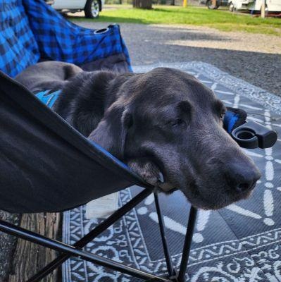 Finn photo 2