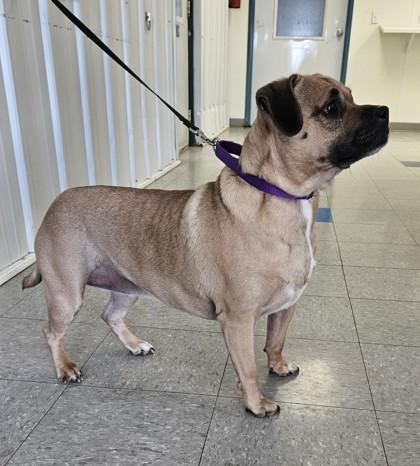 Little Debbie thumbnail 4