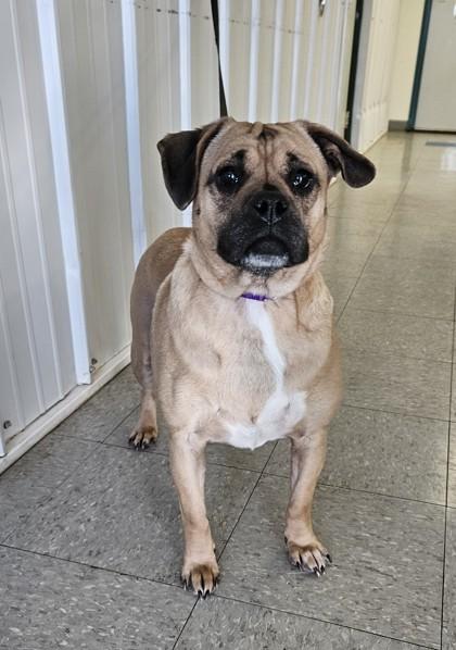 Little Debbie thumbnail 5