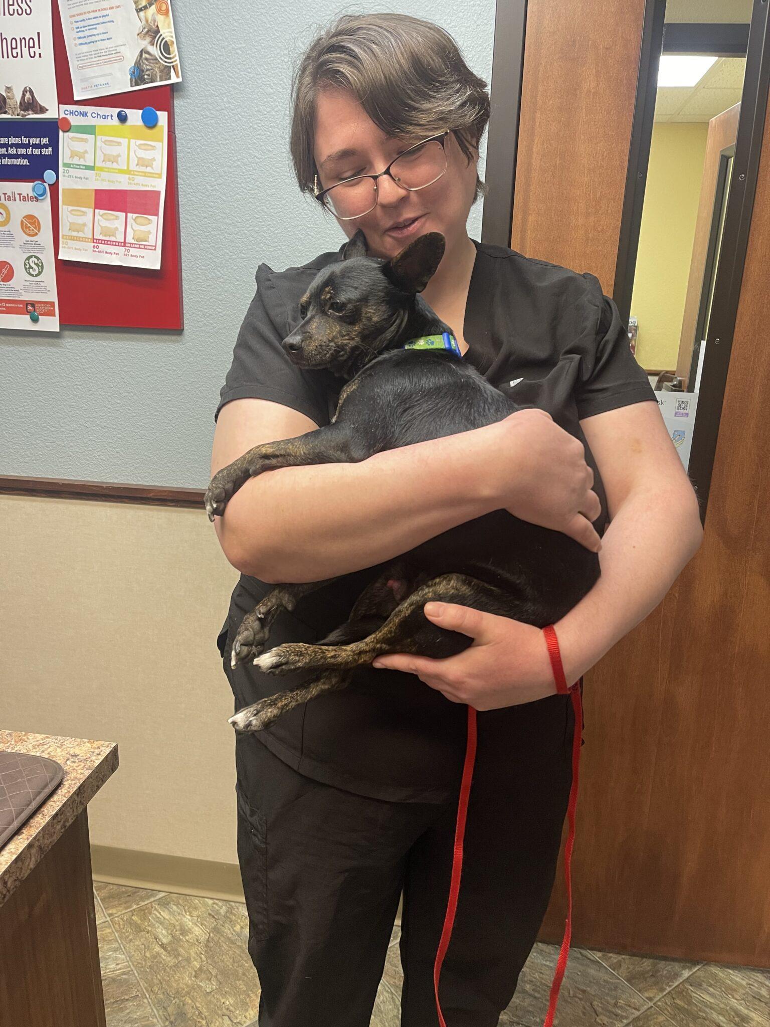 Enlarge Ranger, a ADOPTABLE mixed breed in Mead, CO image 2/4