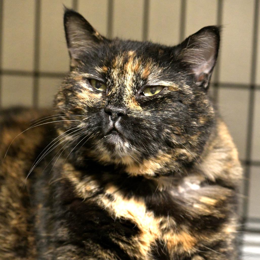 Sasha — thumbnail 2