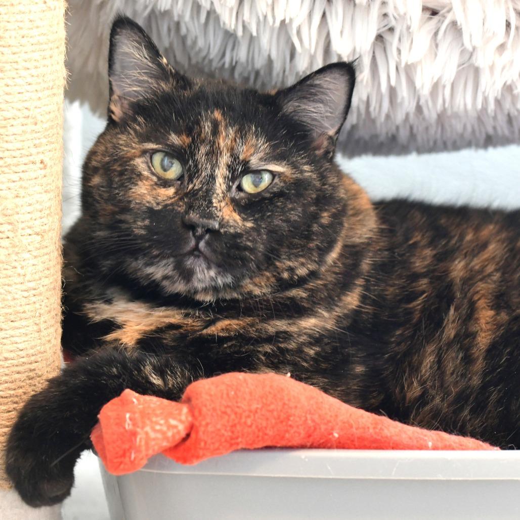 Sasha — thumbnail 3