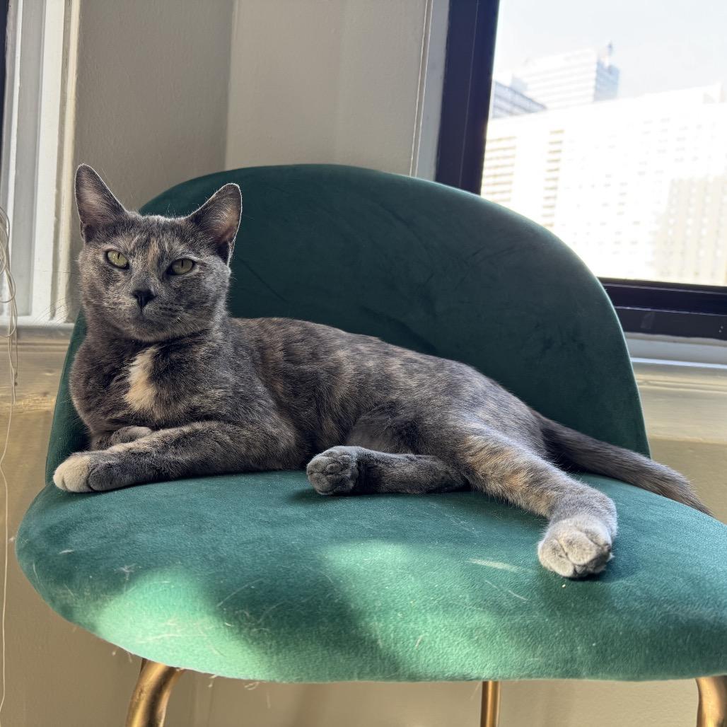 Sherry Baby — thumbnail 2