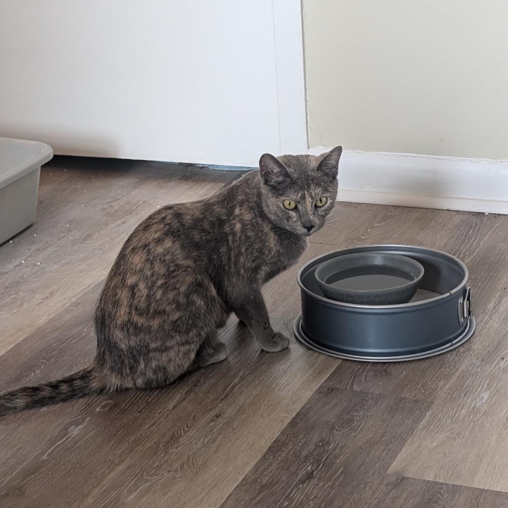 Sherry Baby — thumbnail 3