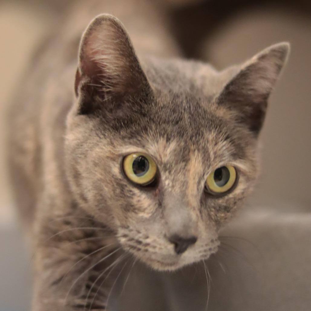 Sherry Baby — thumbnail 4