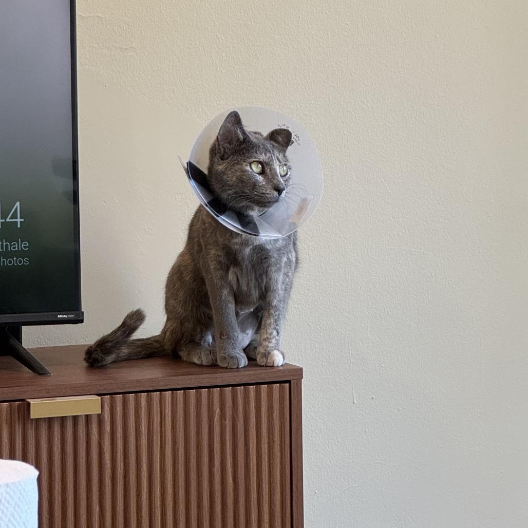 Sherry Baby — thumbnail 5