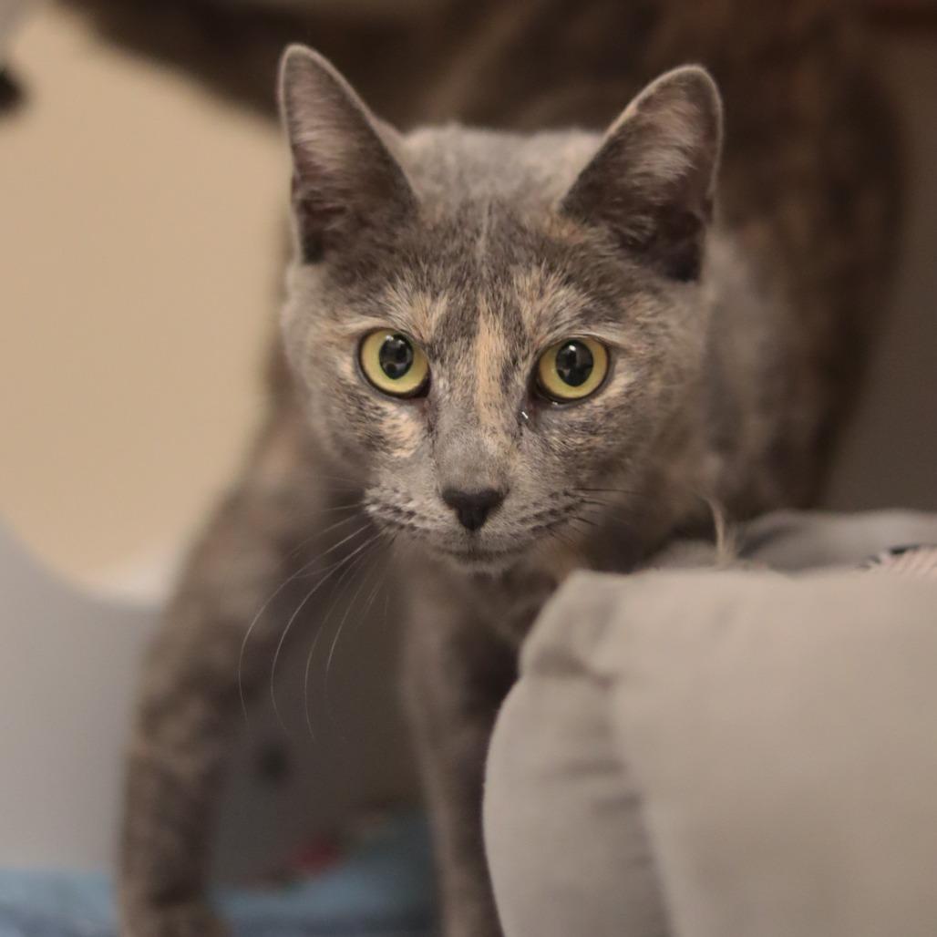 Sherry Baby — thumbnail 6