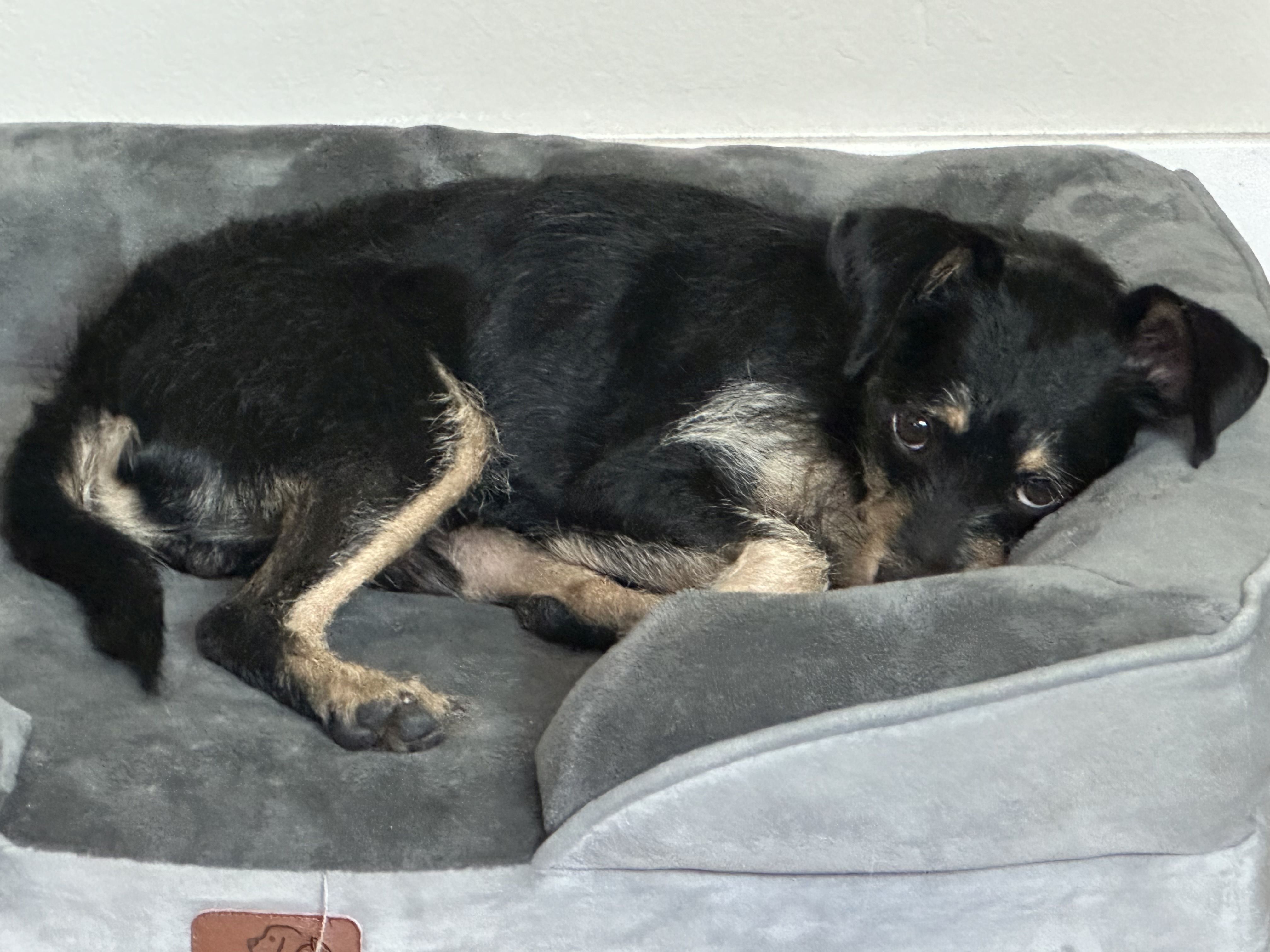 Grady And Sadie Are thumbnail 6