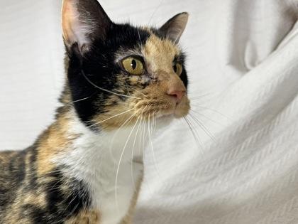 Wilma — thumbnail 2