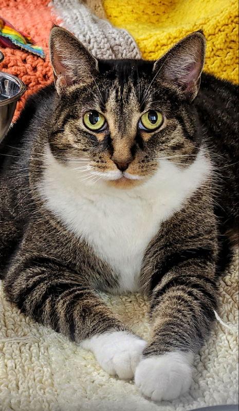 Molly — thumbnail 2