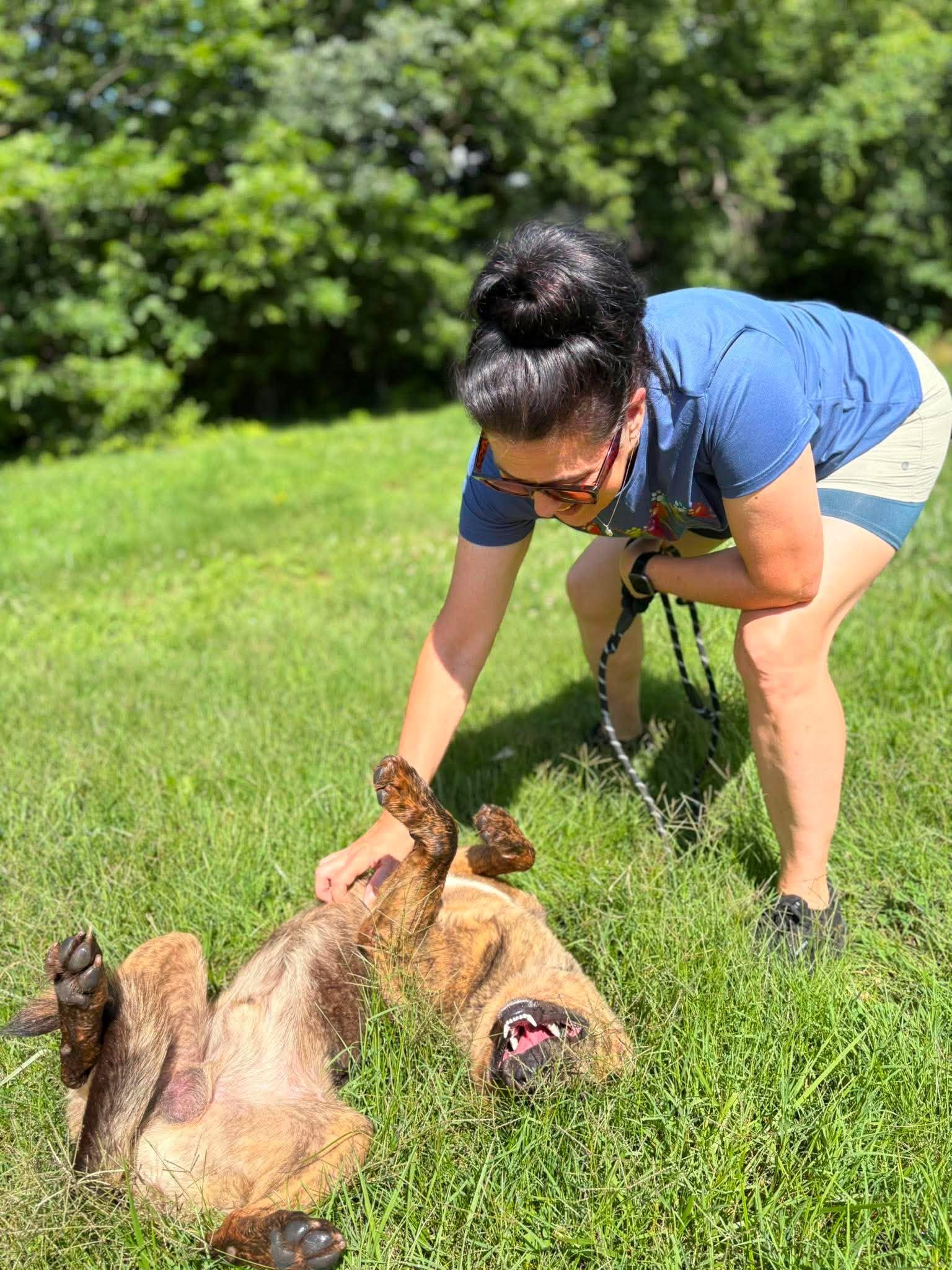 Jackson, an adoptable mixed breed in Harrodsburg, KY image 6/6
