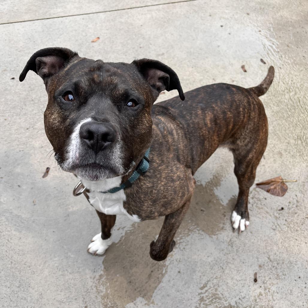 King — thumbnail 2