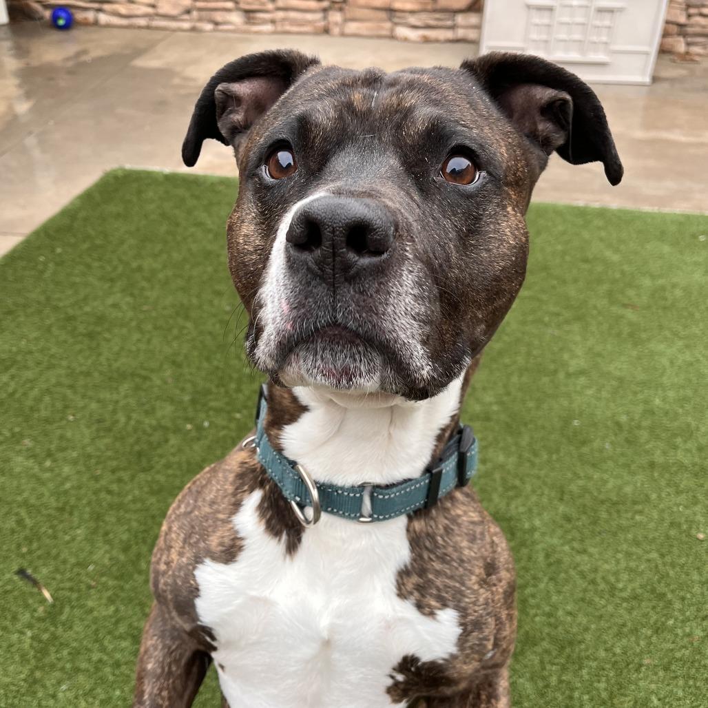 King — thumbnail 4