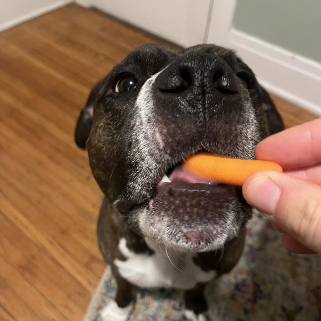 King — thumbnail 5