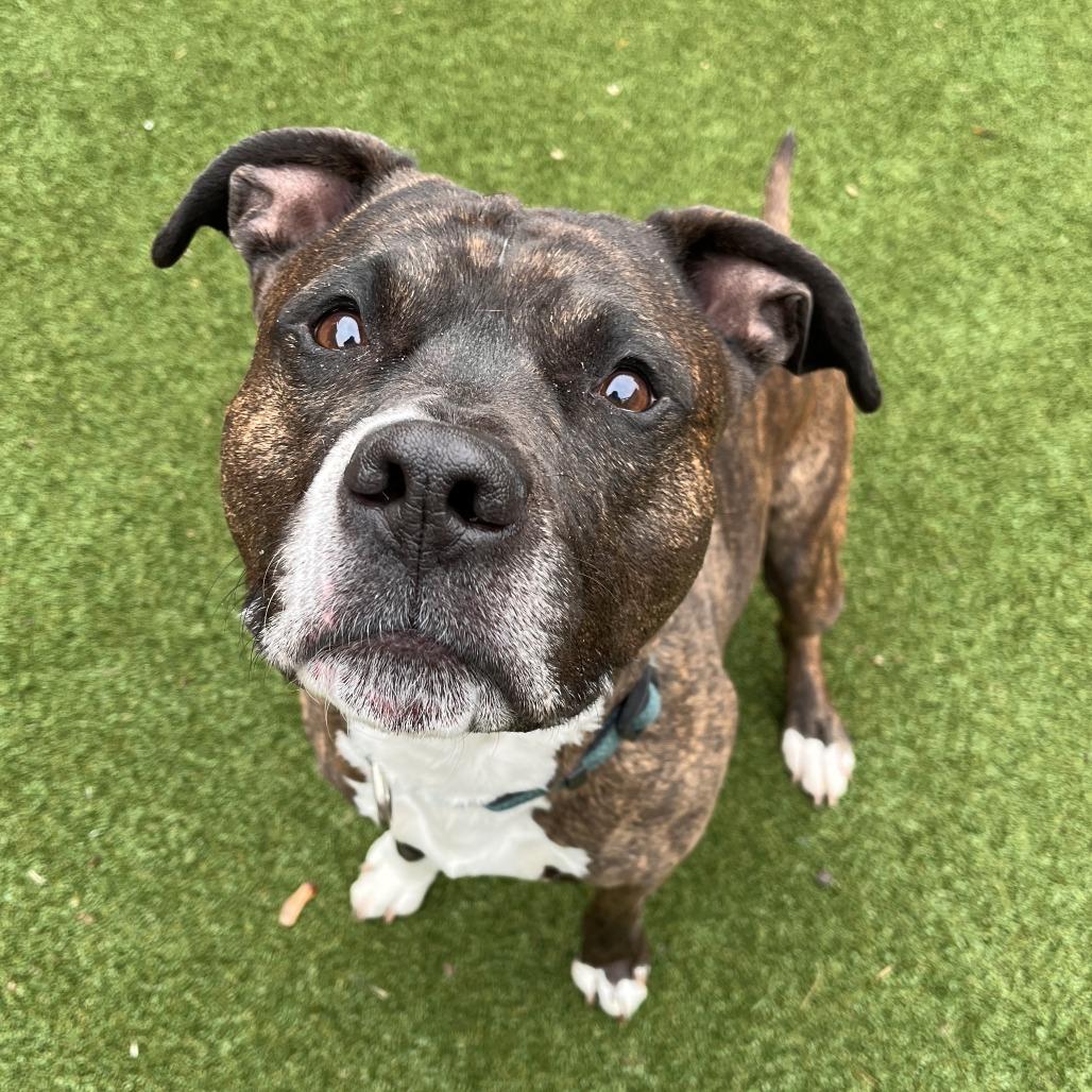 King — thumbnail 6