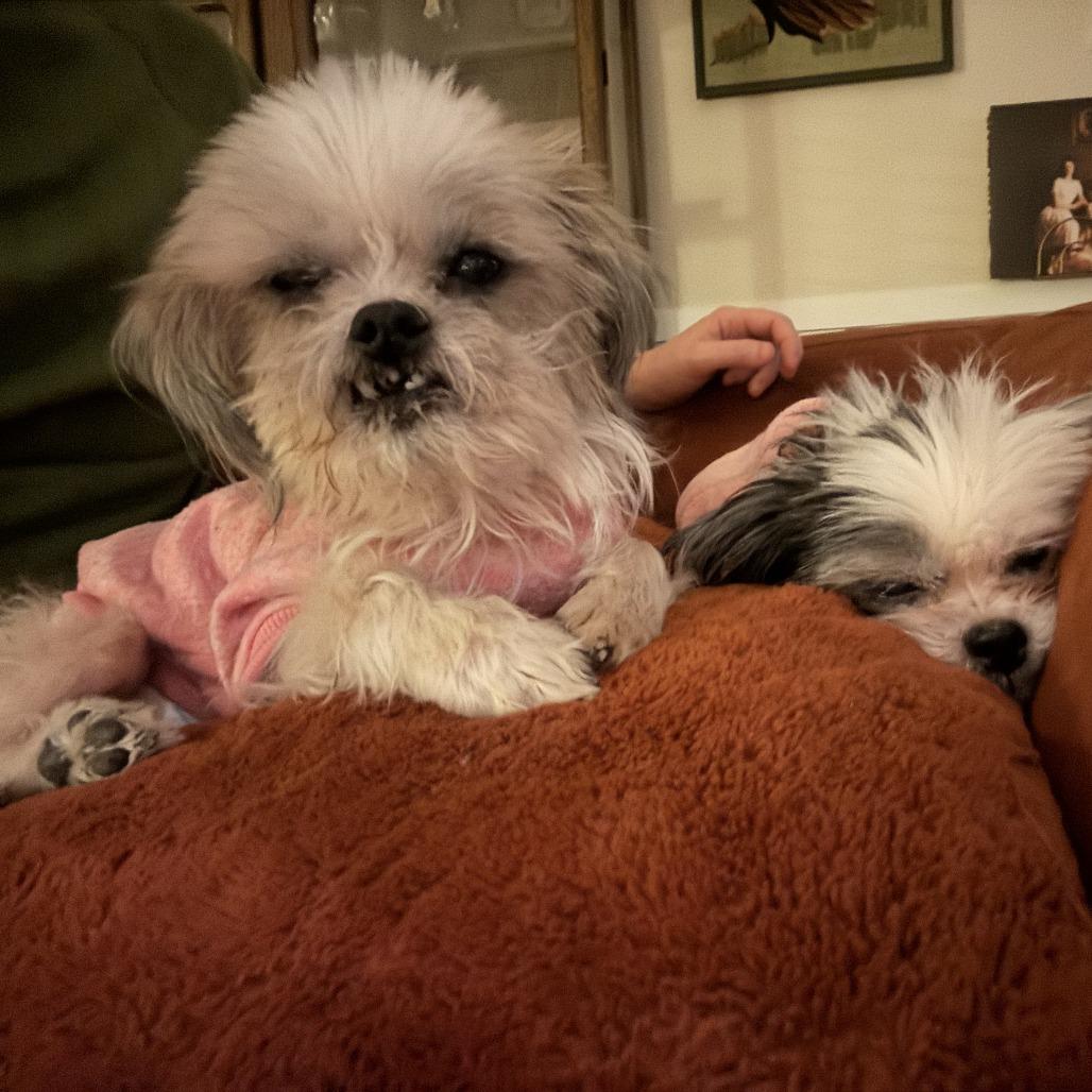 Anna Banana *BONDED WITH GENO*