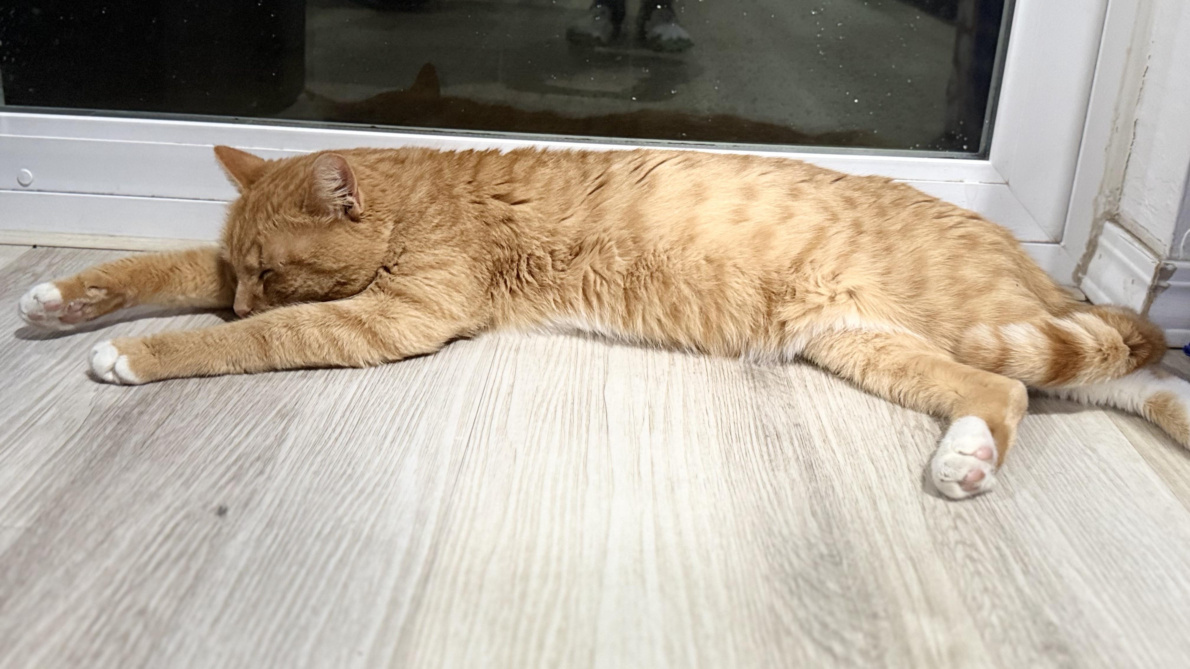 Emmet — thumbnail 2