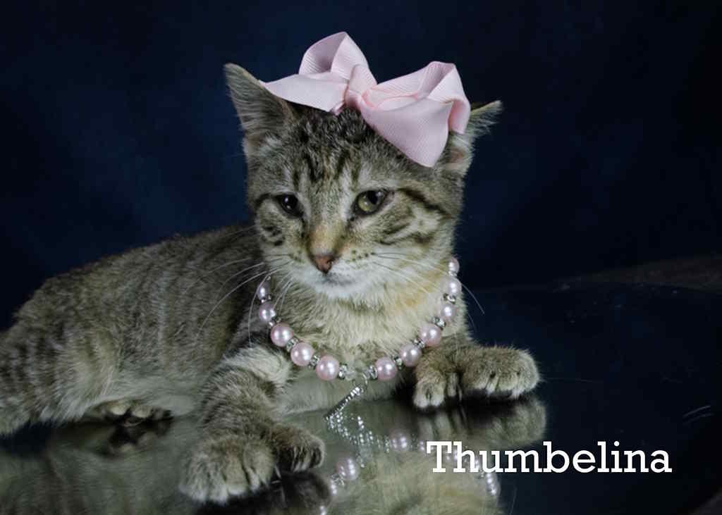 Thumbelina
