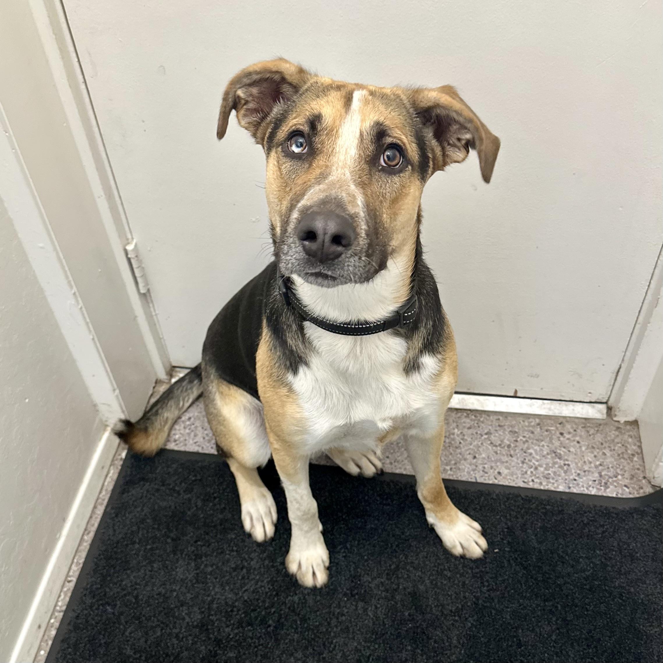 Axel 0125 — thumbnail 2