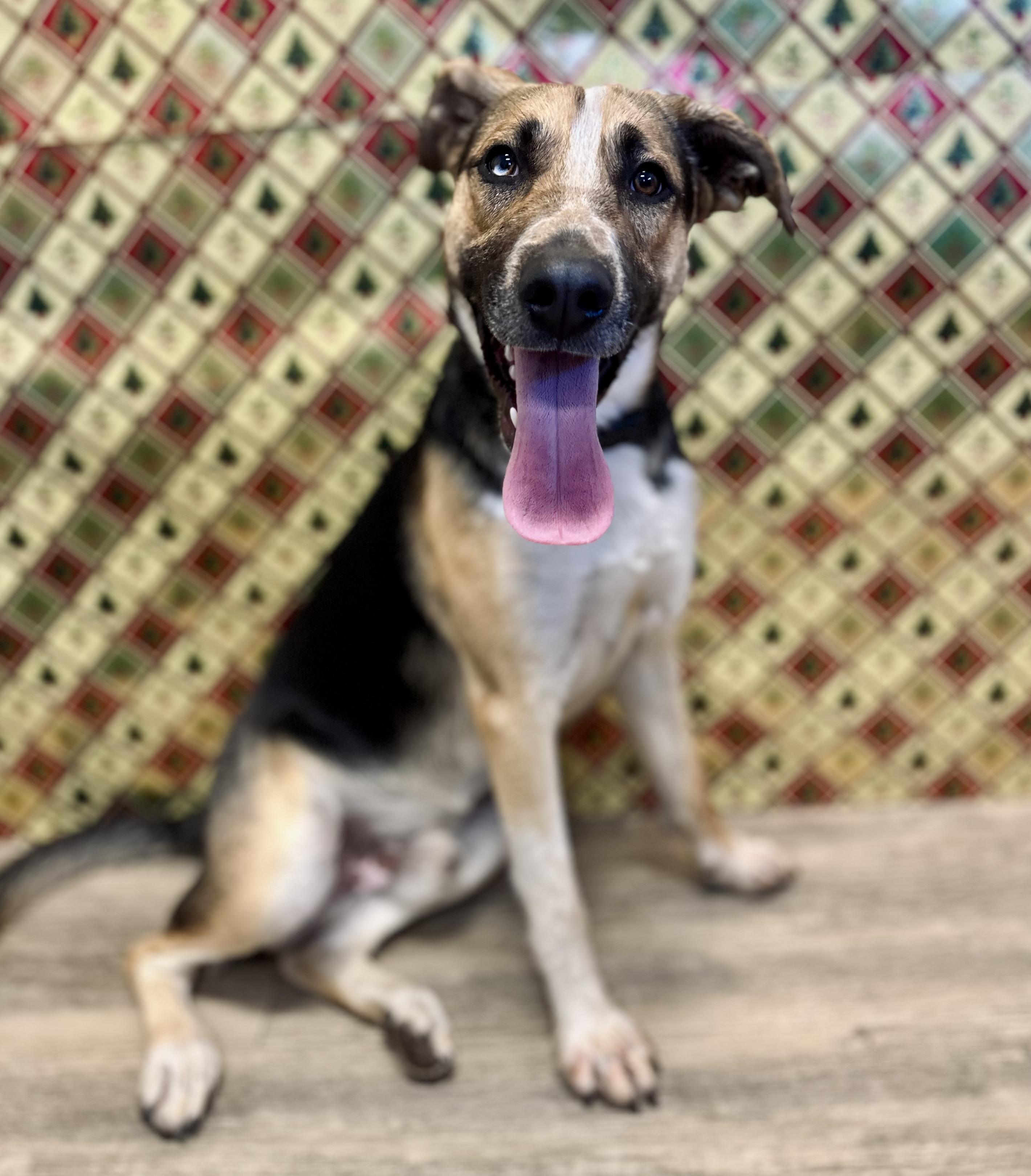 Axel 0125 — thumbnail 3