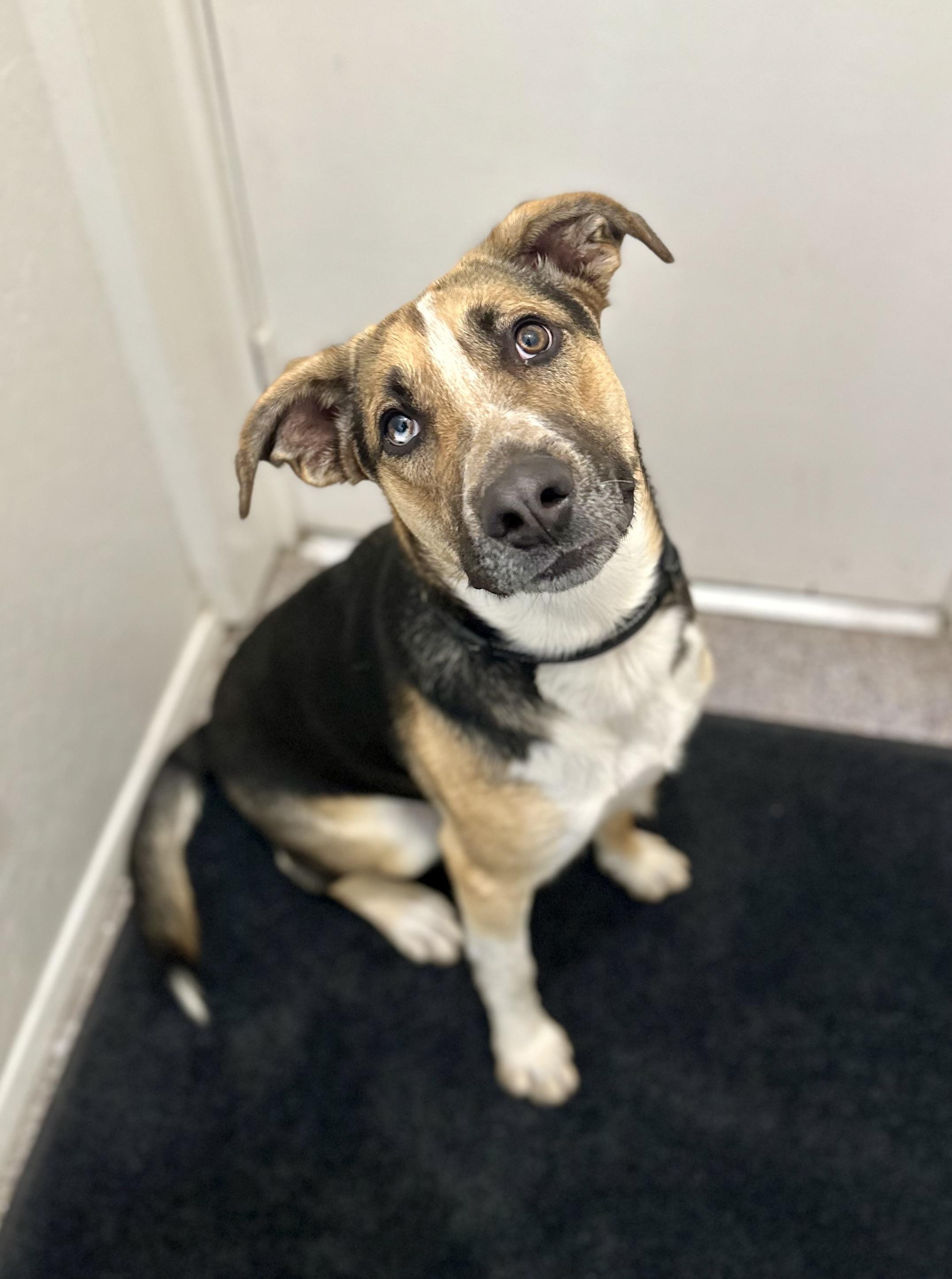 Axel 0125 — thumbnail 4