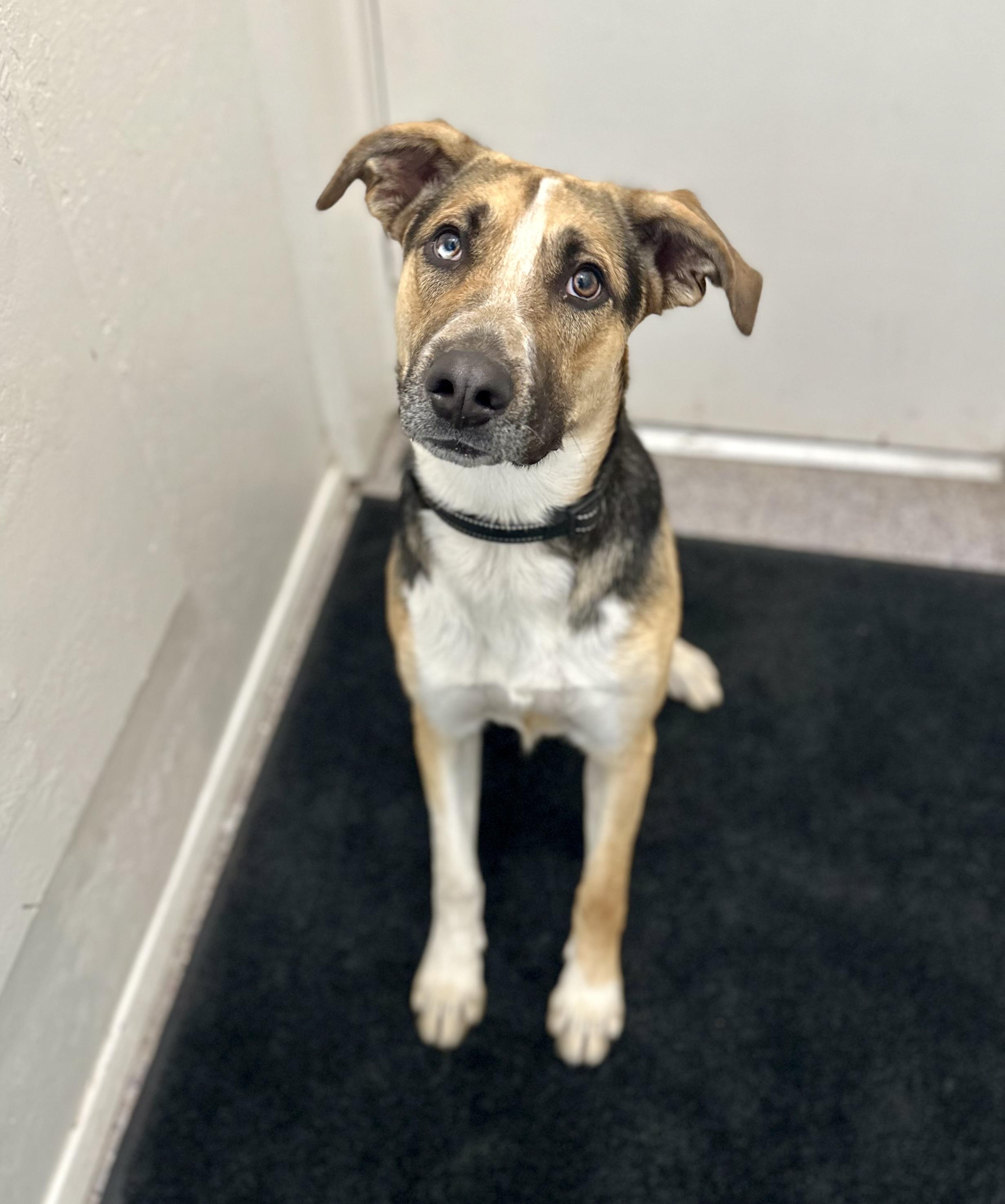 Axel 0125 — thumbnail 5