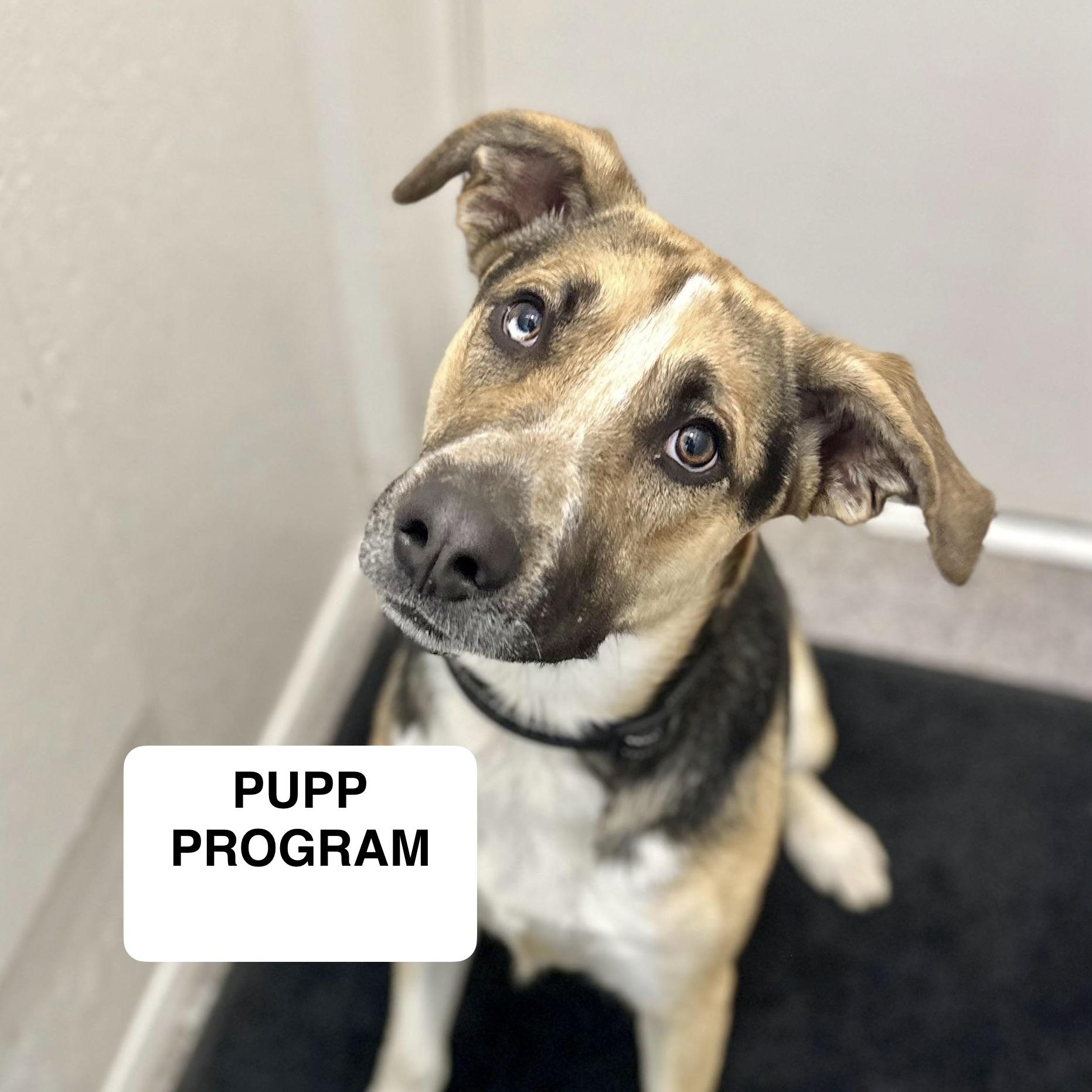 Axel 0125 — thumbnail 6