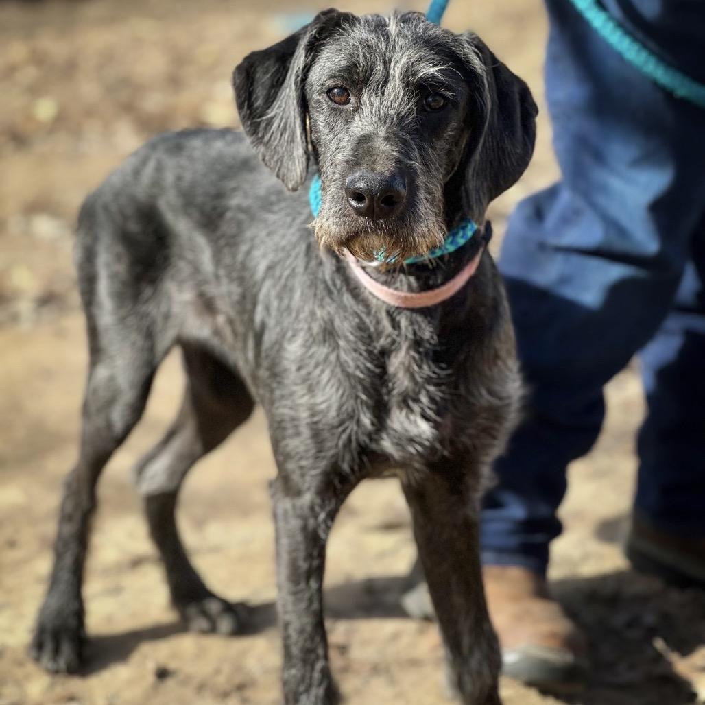 Clementine thumbnail 6