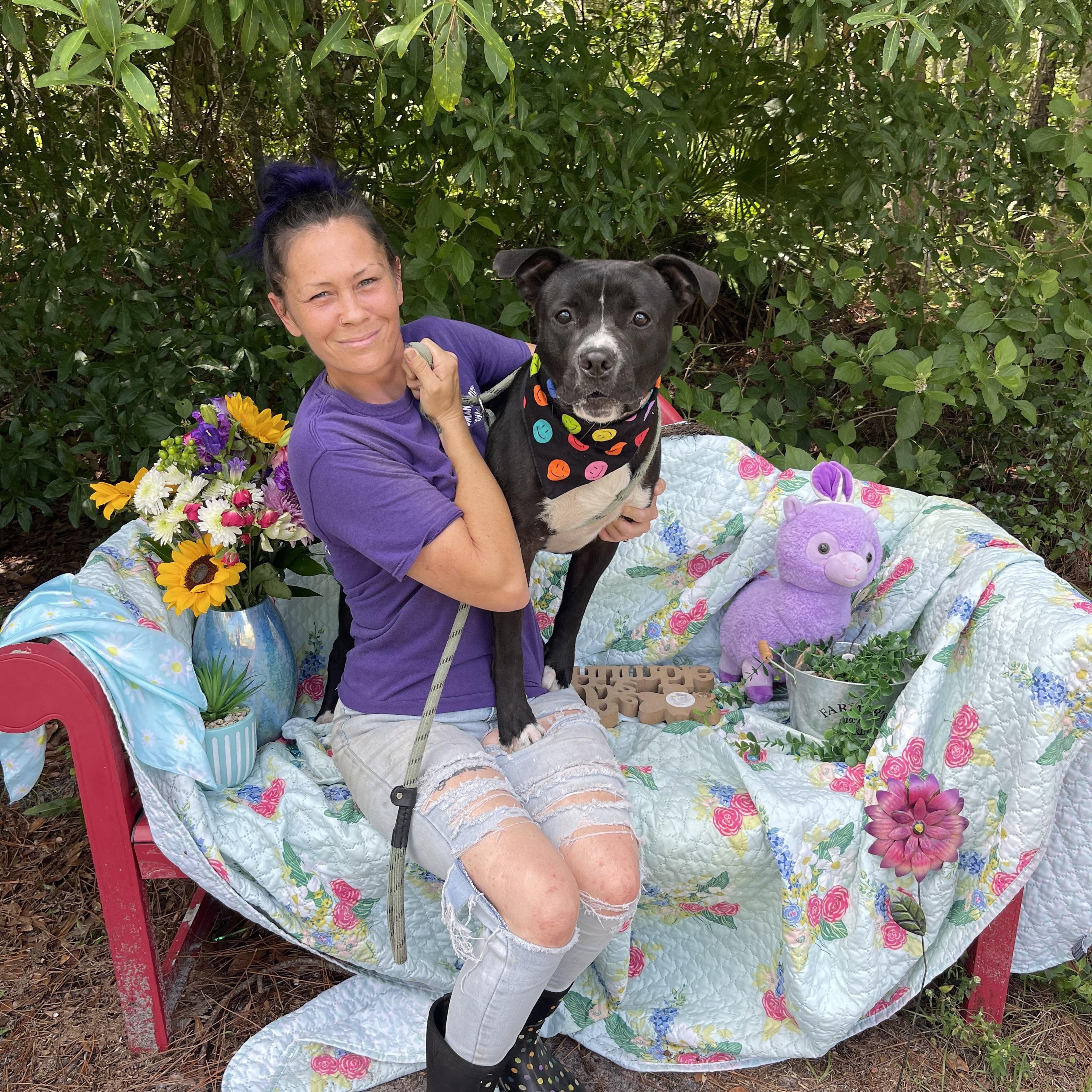 Azriel, a Adoptable mixed breed in Sebring, FL image 4/5