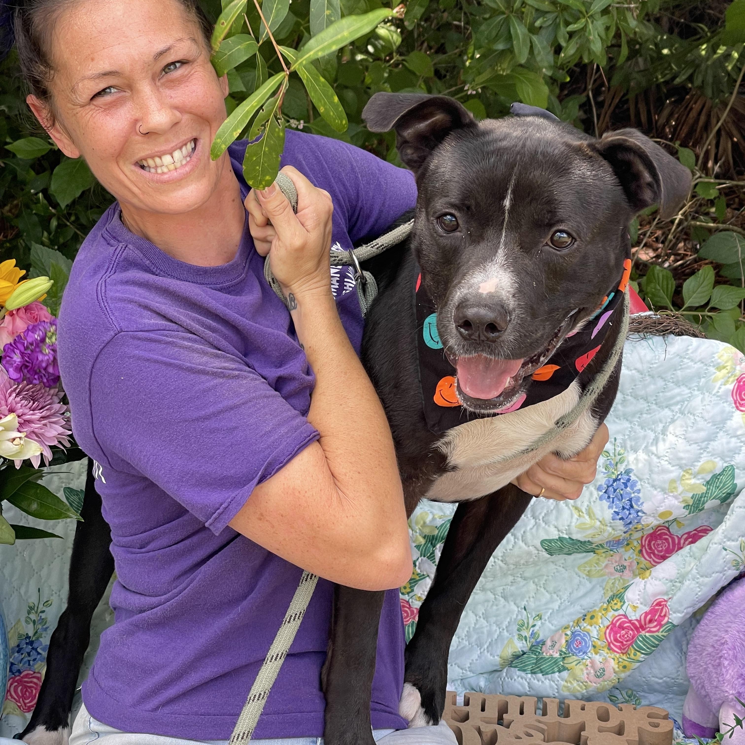 Azriel, a Adoptable mixed breed in Sebring, FL image 2/5