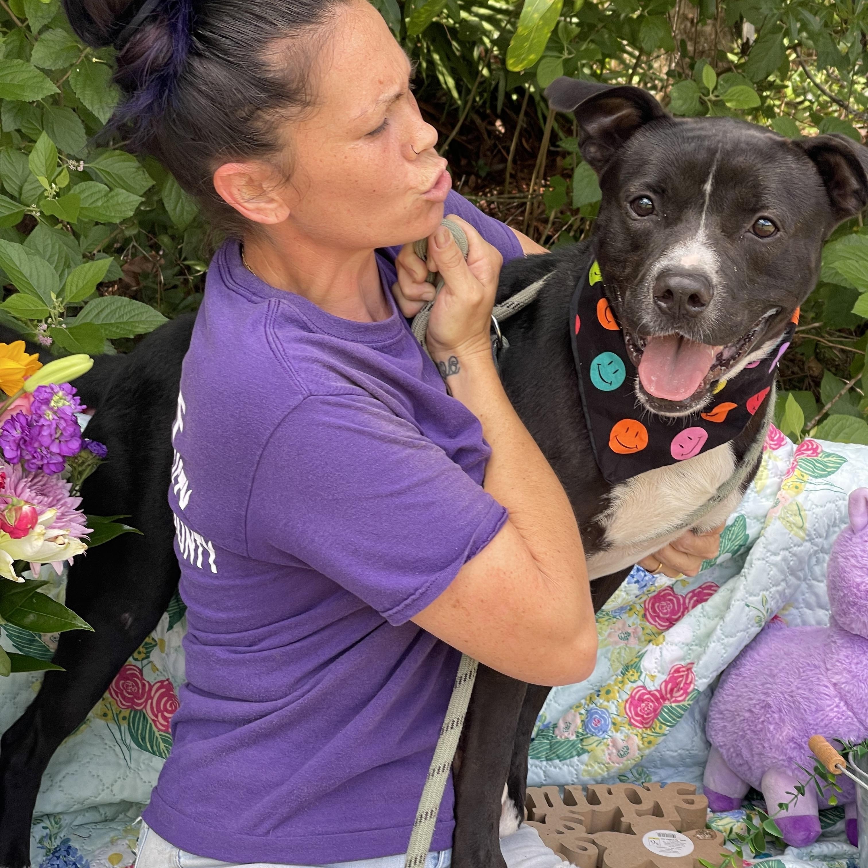 Azriel, a Adoptable mixed breed in Sebring, FL image 3/5