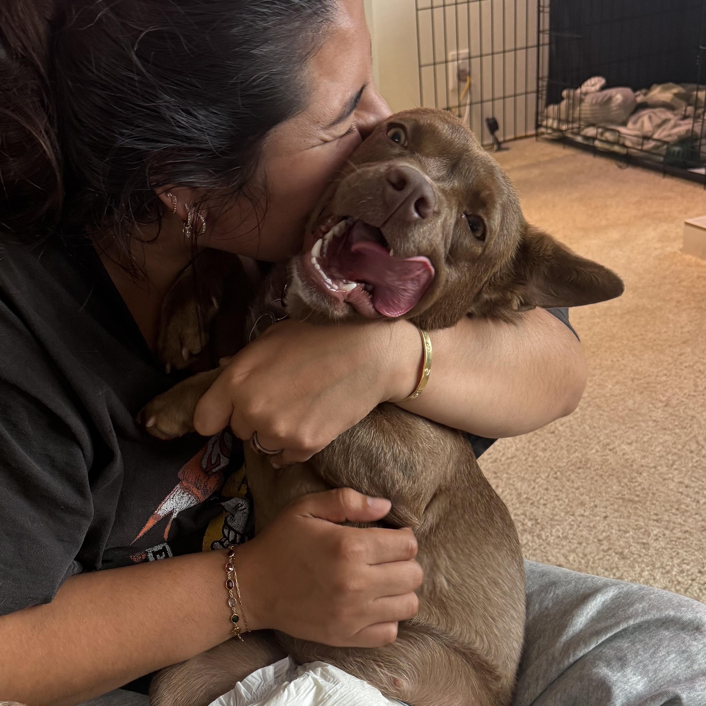 Enlarge Bean, a ADOPTABLE Mixed Breed in San Diego, CA image 5/6