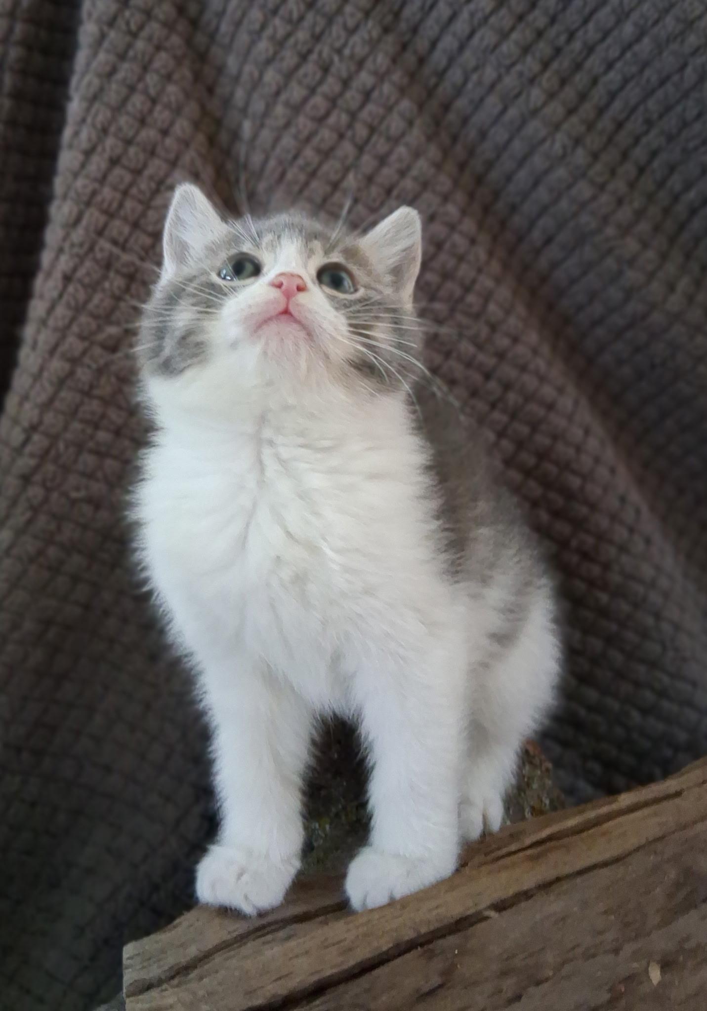Evelyn photo 2