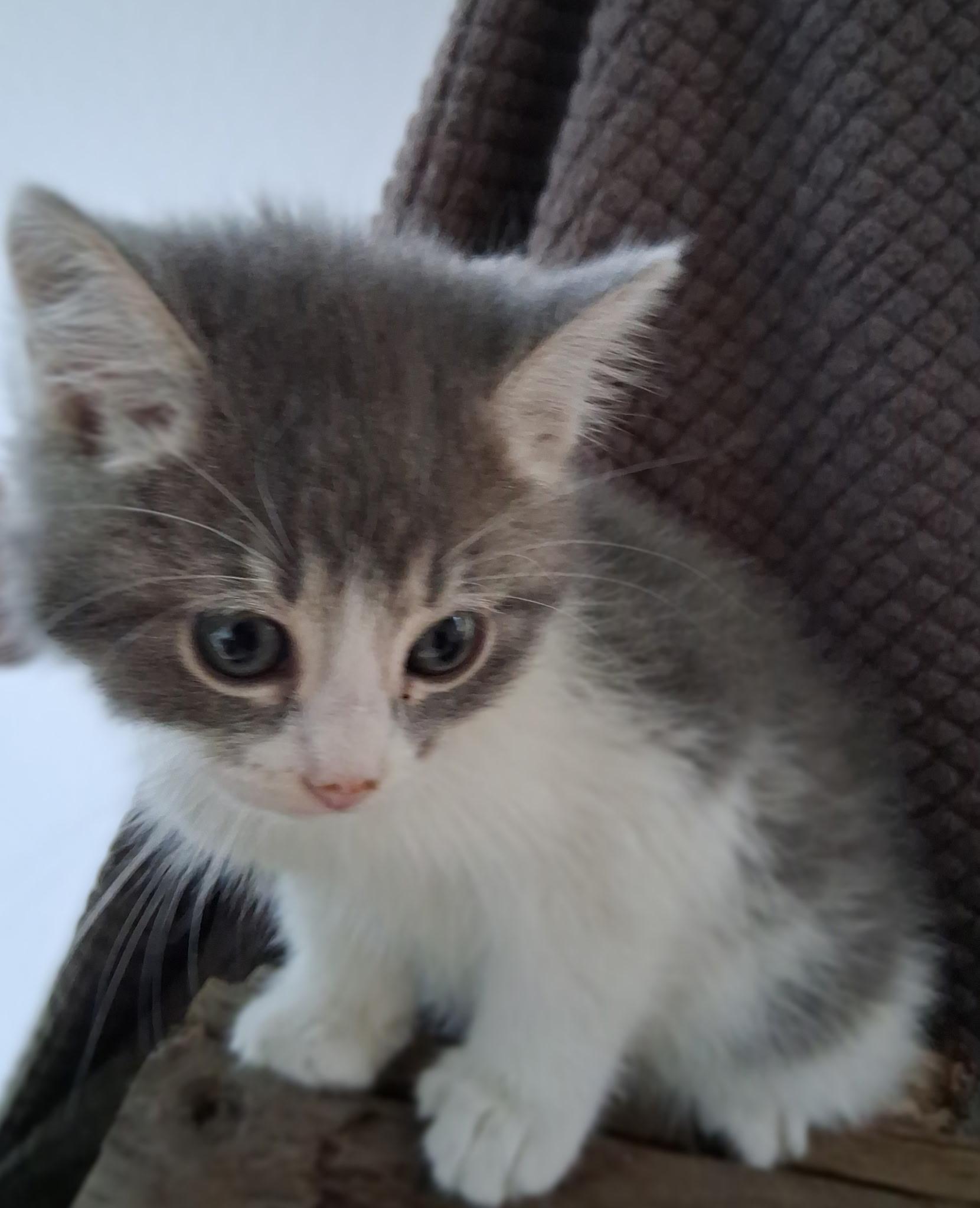 Evelyn photo 3