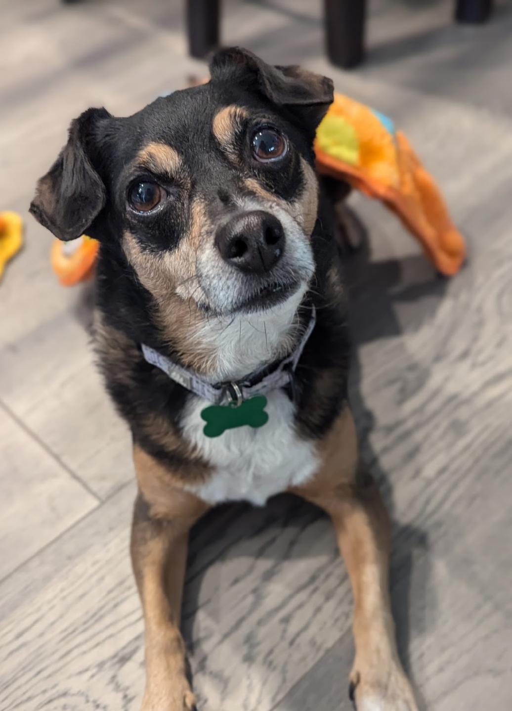 Niko (aka Cooper)