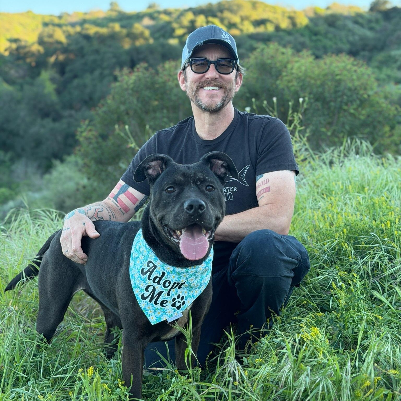 Rosie, Adoptable, Young Female American Staffordshire Terrier & Black Labrador Retriever.