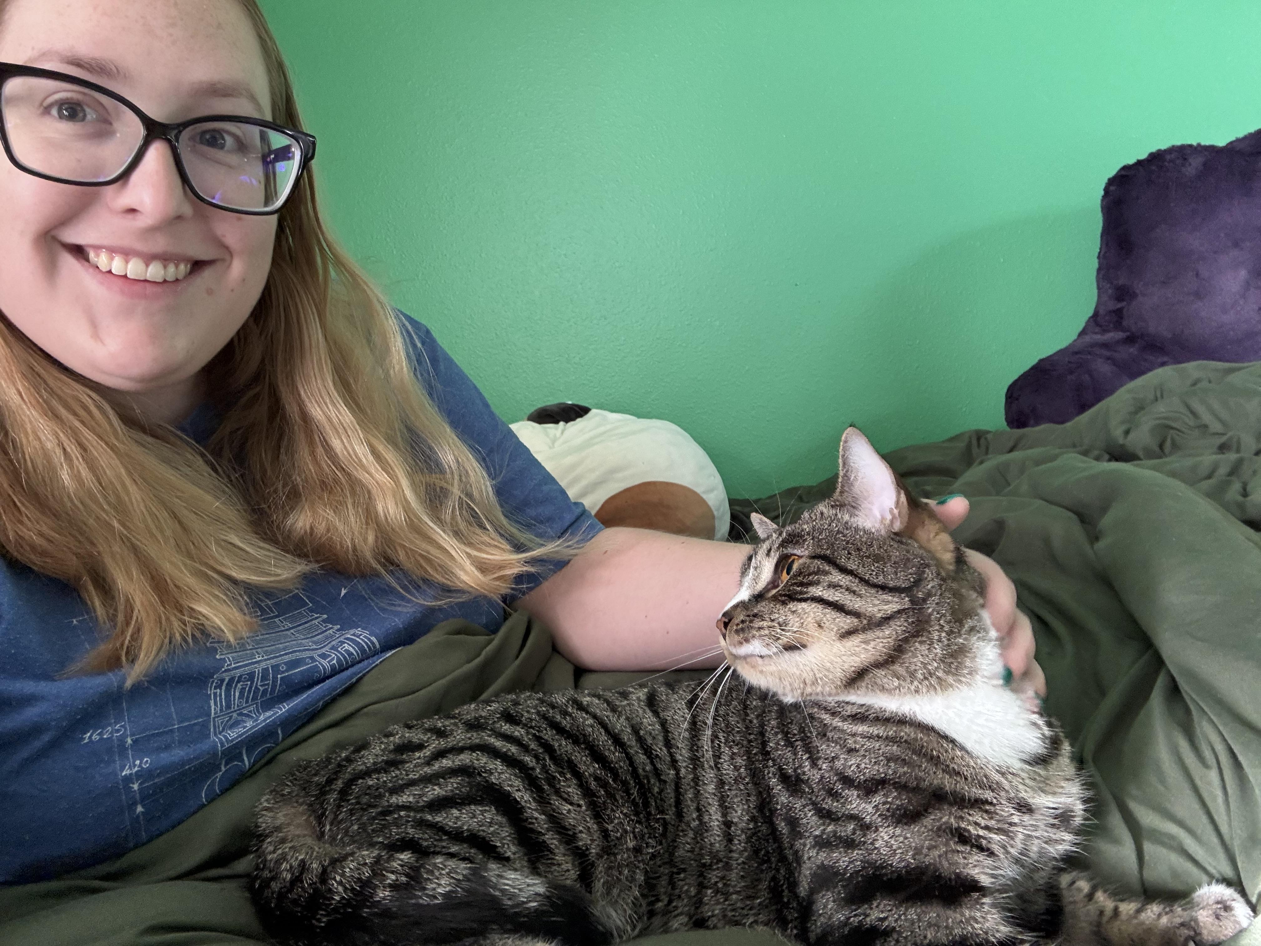 Enlarge Valentine, a Adoptable Domestic Short Hair in Orlando, FL image 5/6