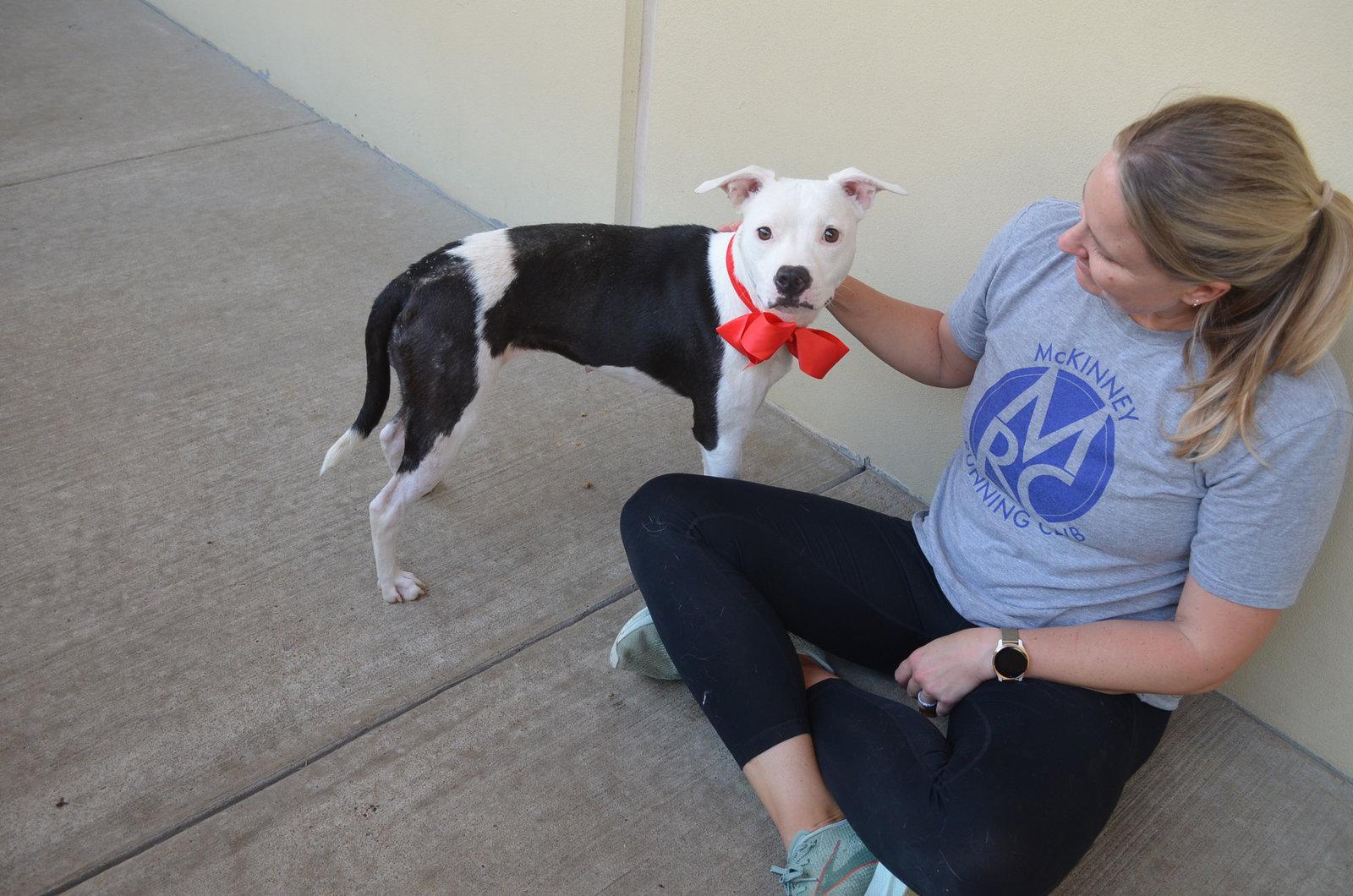 Enlarge Winnie, a Adopted Pit Bull Terrier in McKinney, TX image 3/3
