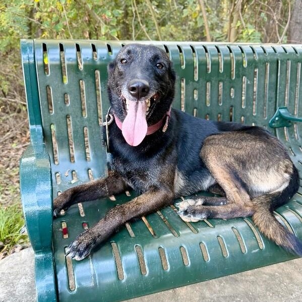 Wendy the Wonderful — thumbnail 2