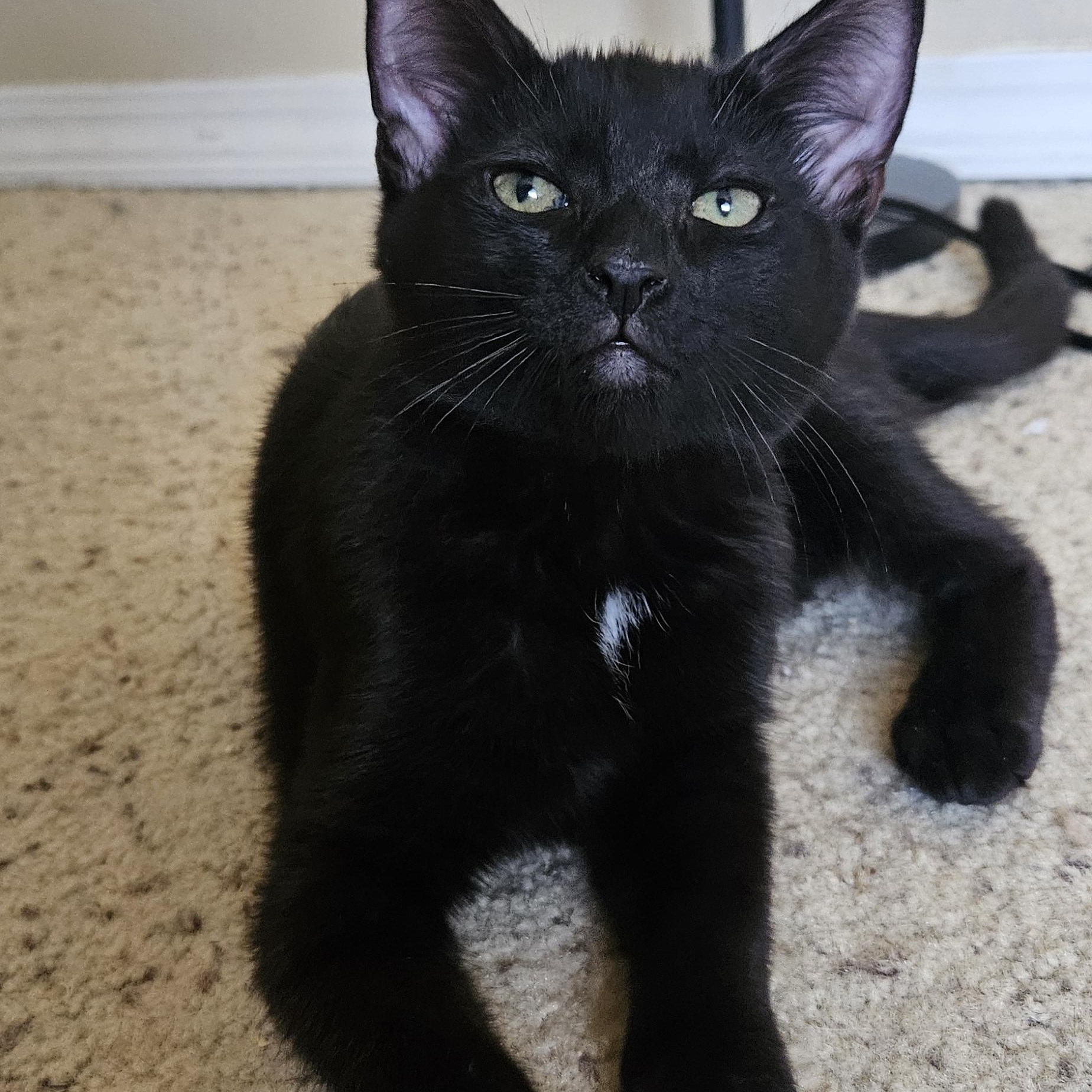 Jade — thumbnail 3