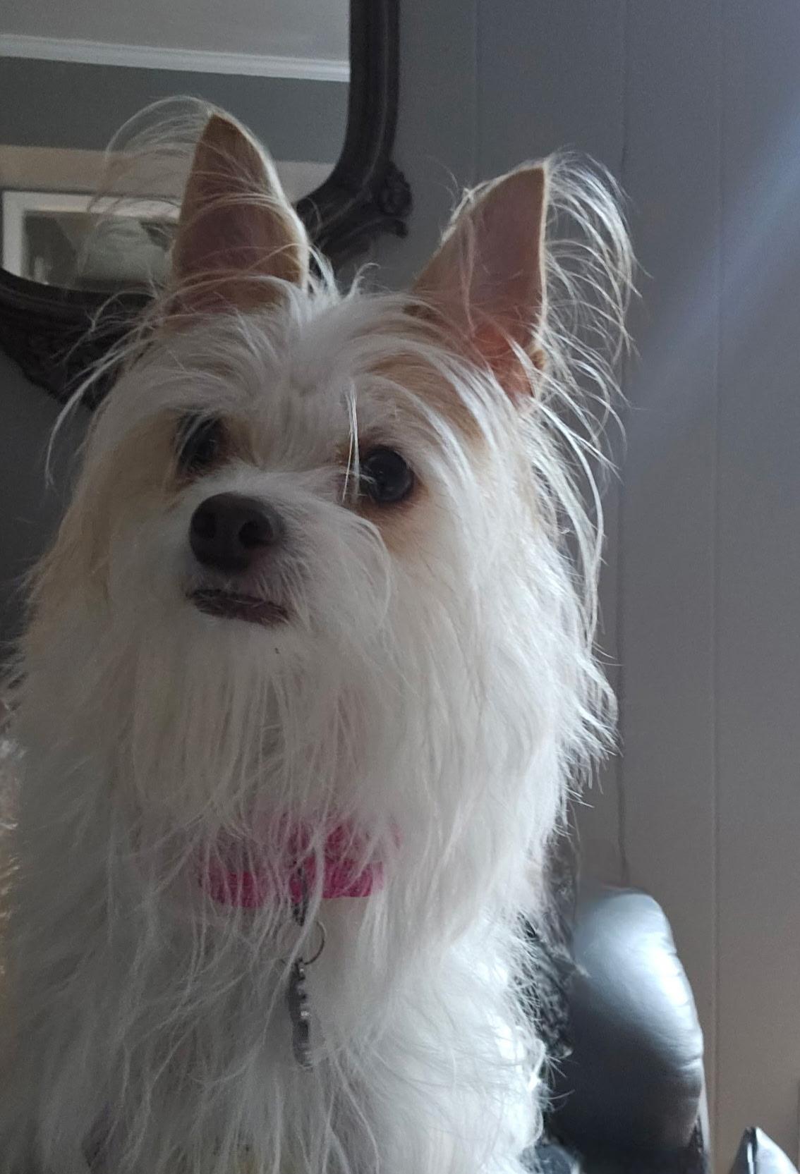 Cloe