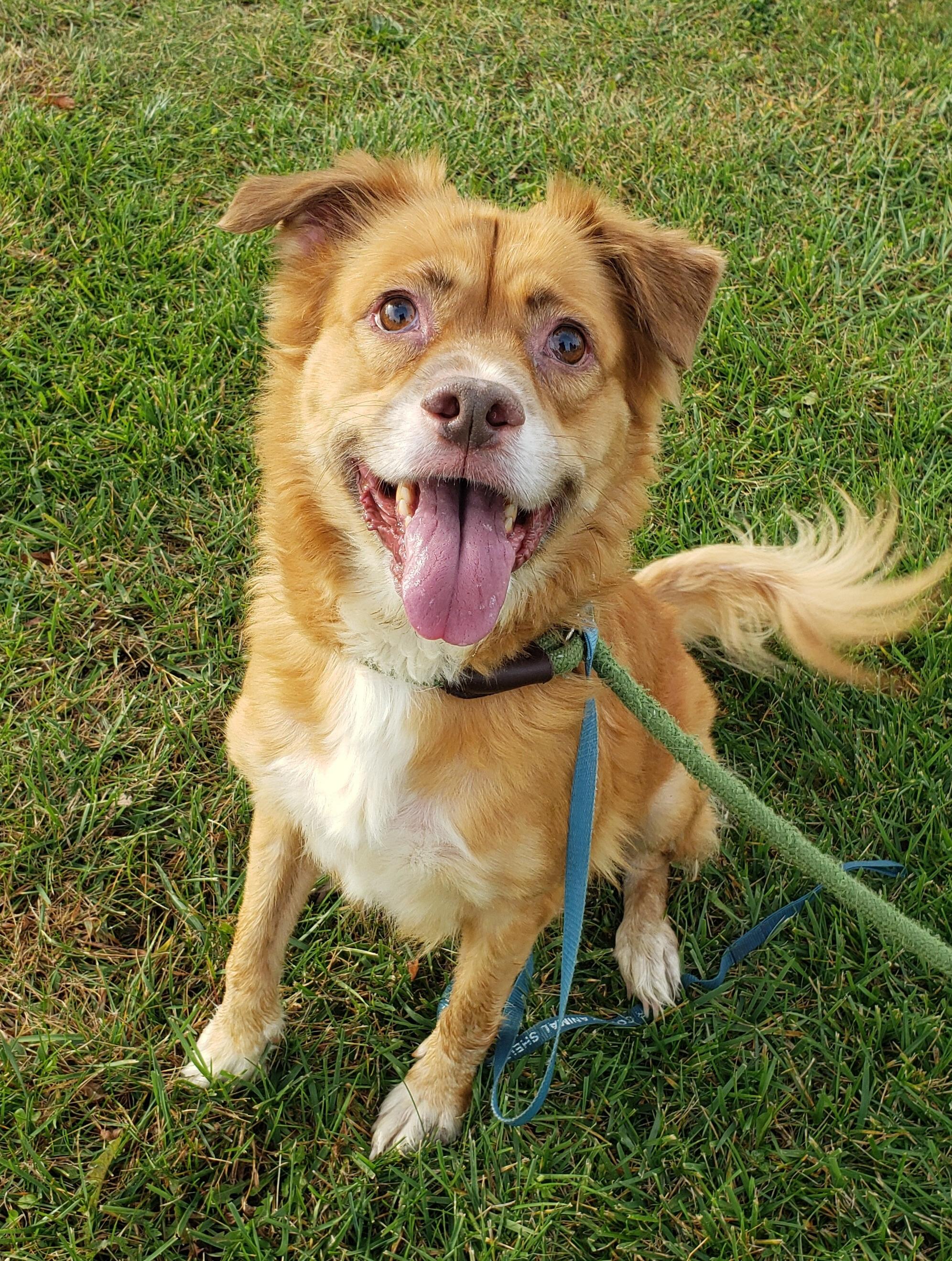 Naylene — thumbnail 2