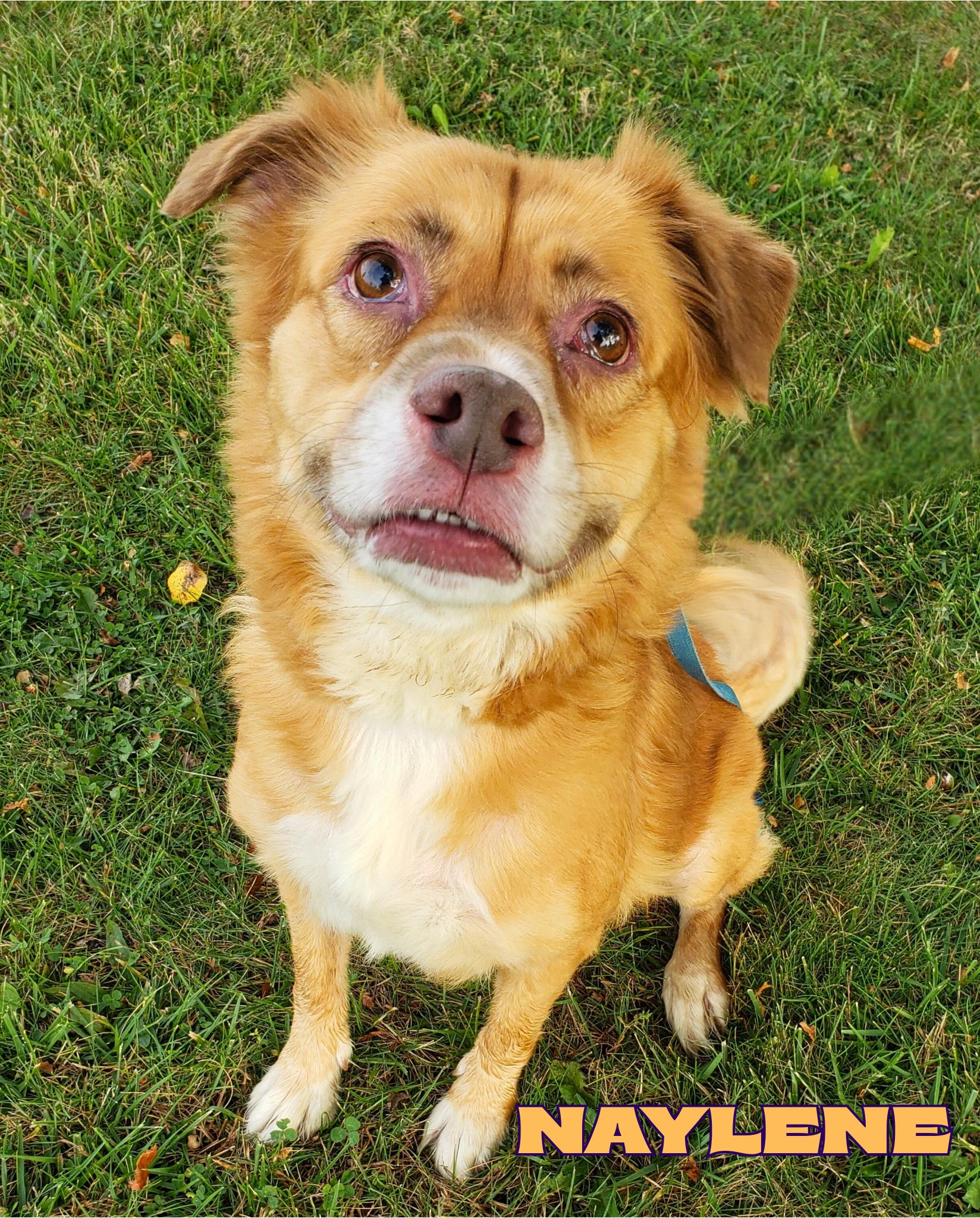 Naylene — thumbnail 3