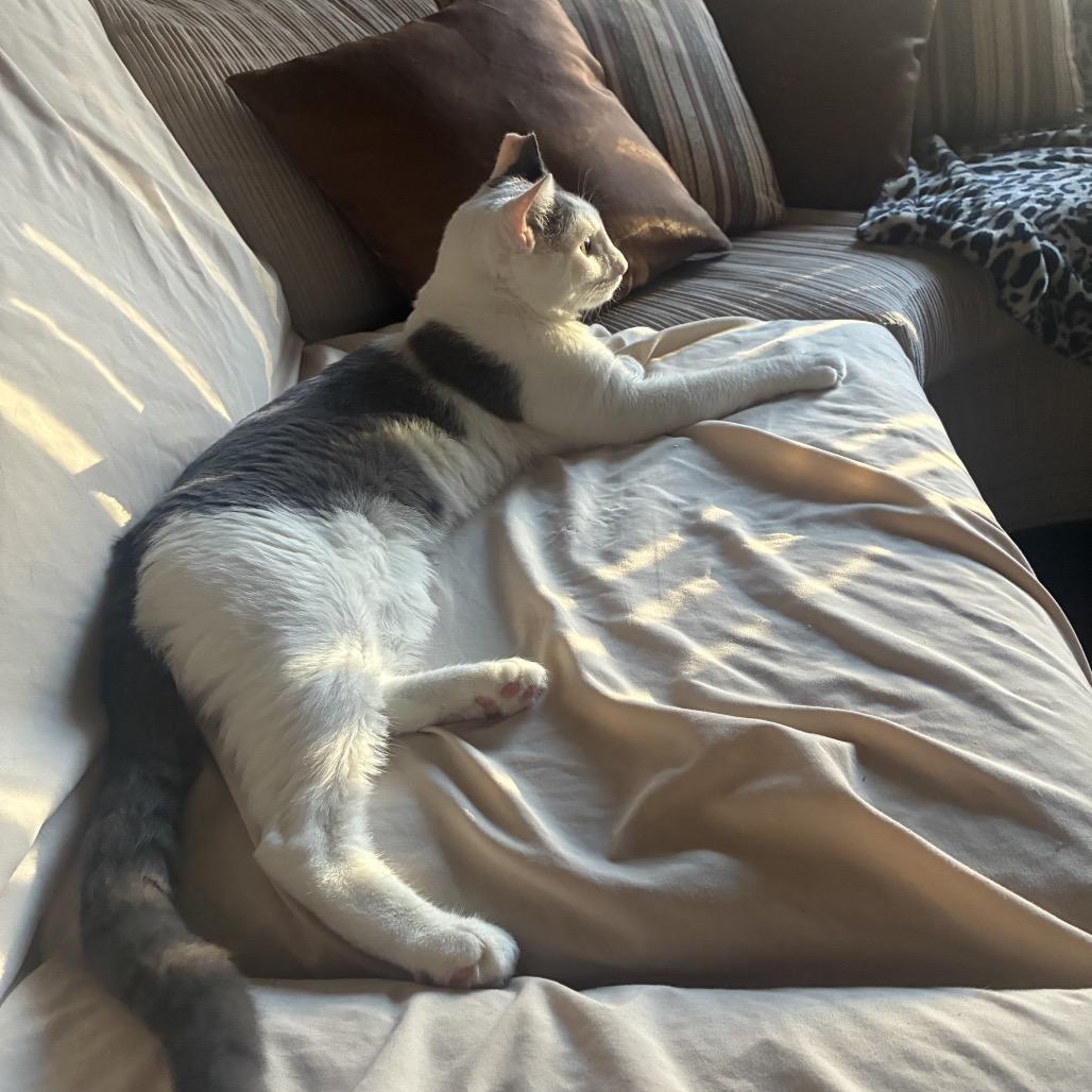 Jario — thumbnail 4