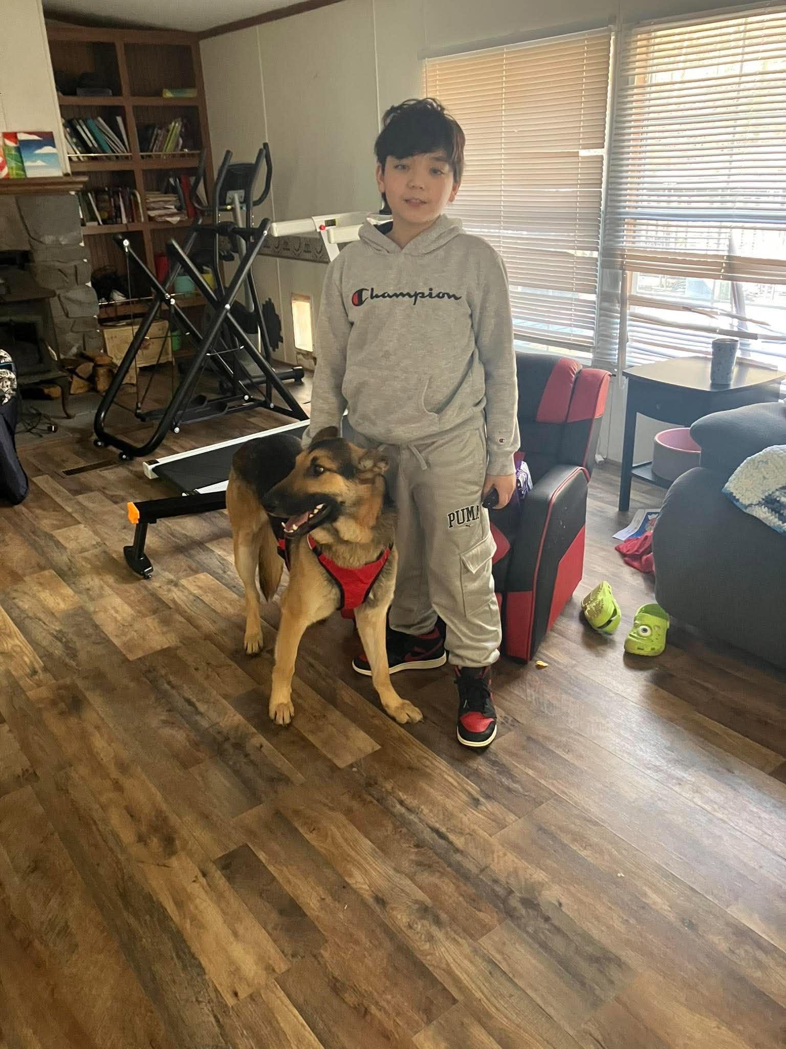 Enlarge Zane (KID FRIENDLY), an adoptable German Shepherd Dog in Greeneville, TN image 4/6