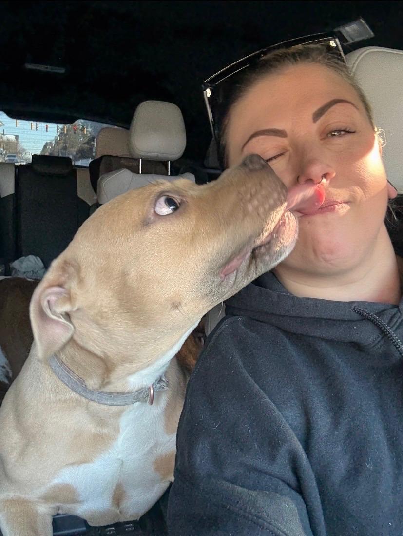 Sissy, a ADOPTABLE mixed breed in Chesapeake Beach, MD image 6/6