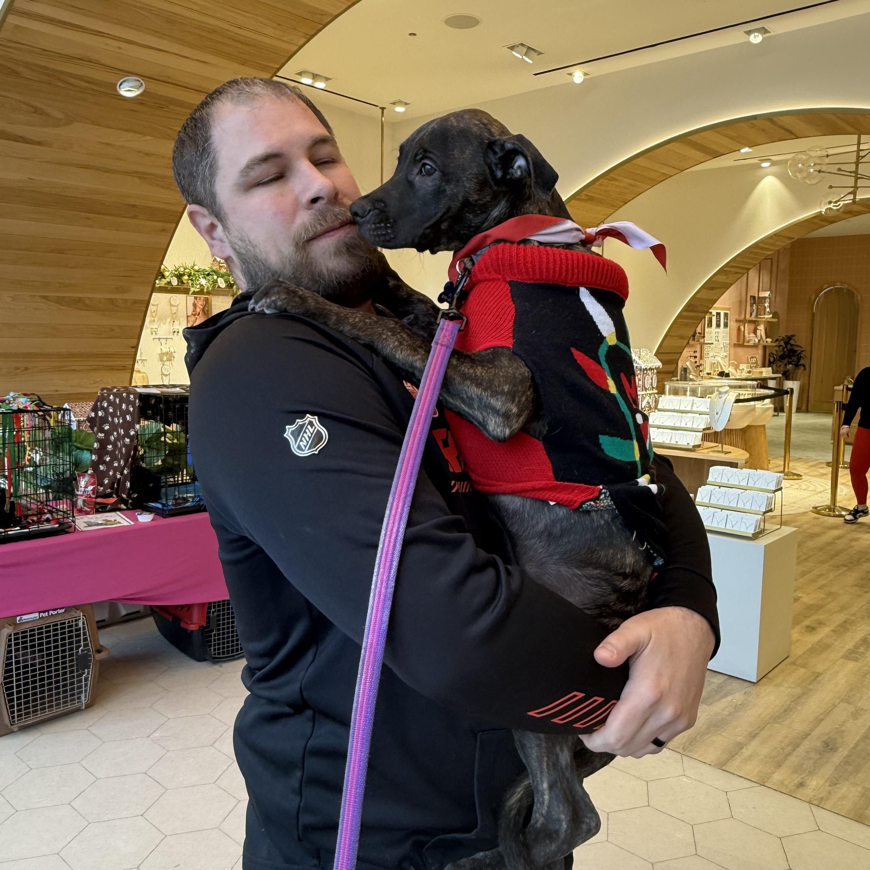 Enlarge Machi, a Adoptable mixed breed in Grand Haven, MI image 4/4