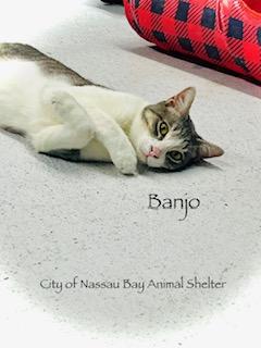 F23-25 Banjo